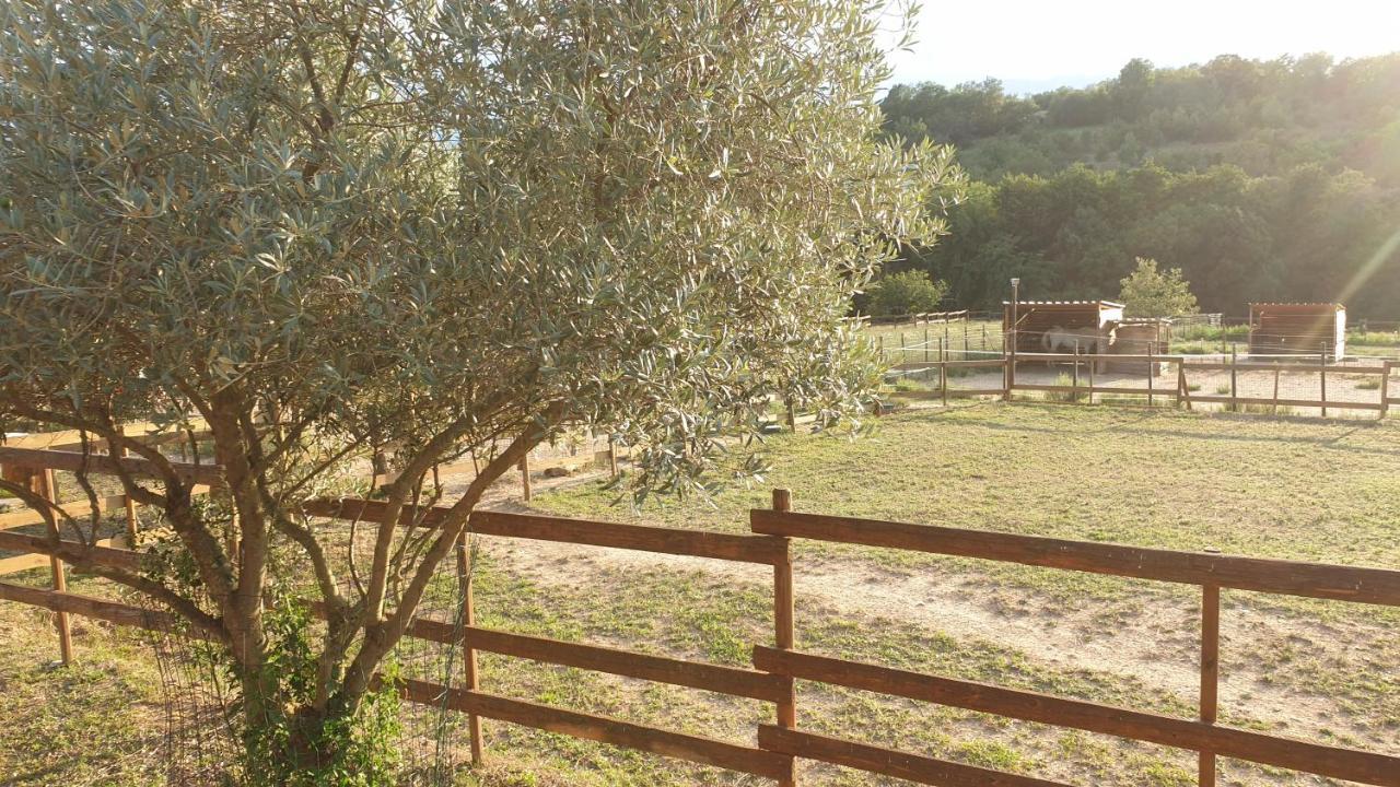 Chambre d'hôtes le petit Ranch Los Masos Exterior foto