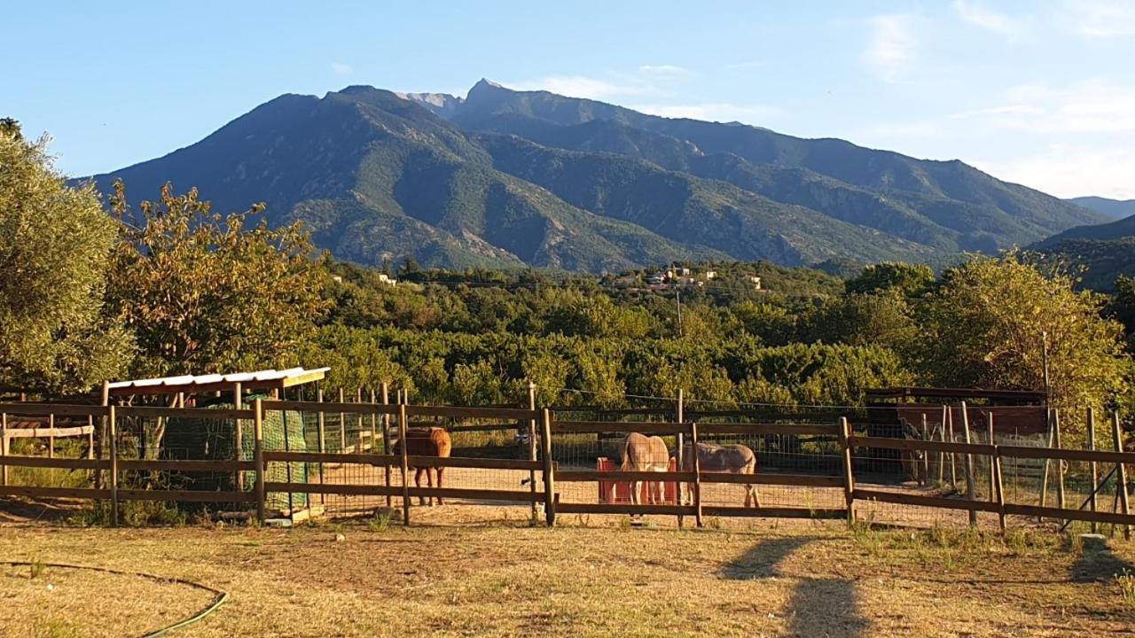 Chambre d'hôtes le petit Ranch Los Masos Exterior foto