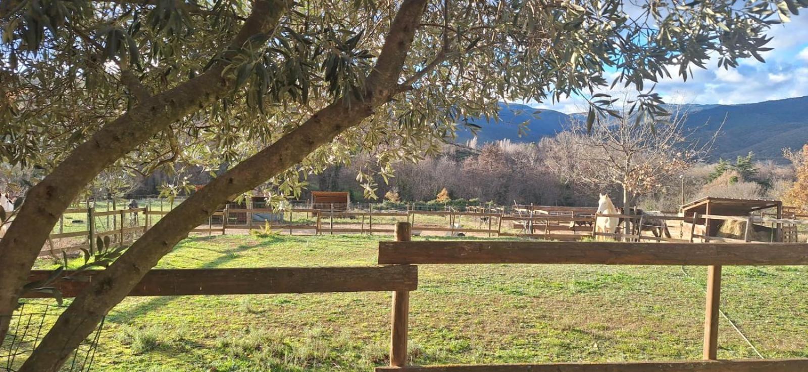 Chambre d'hôtes le petit Ranch Los Masos Exterior foto